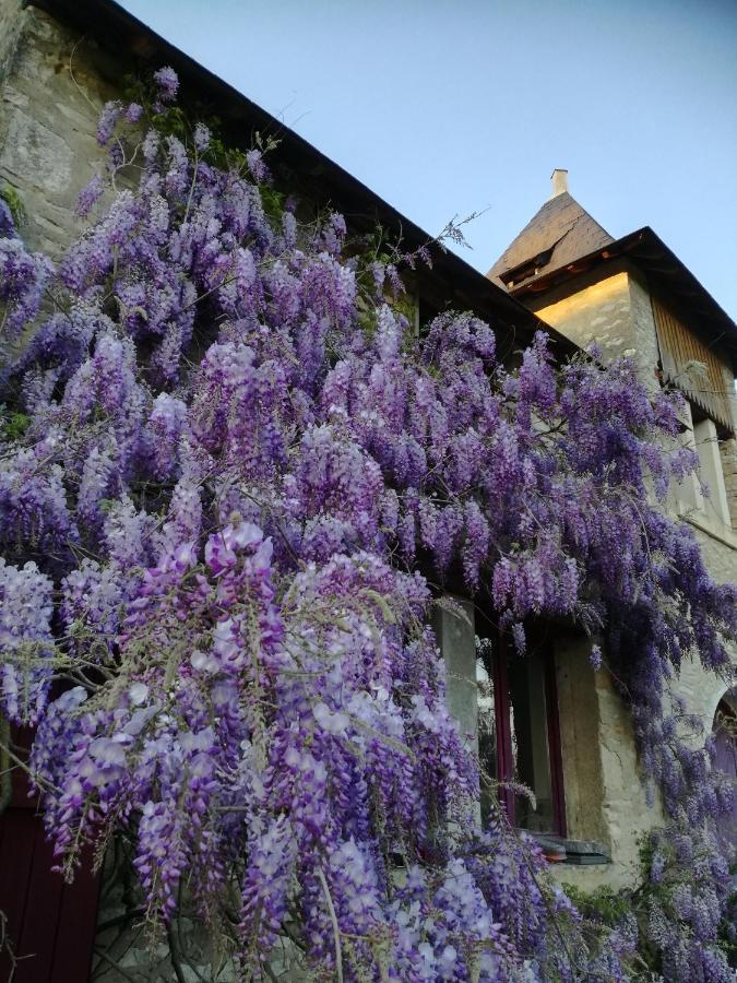 Chateau St.Gaultier Saint-Gaultier Екстер'єр фото